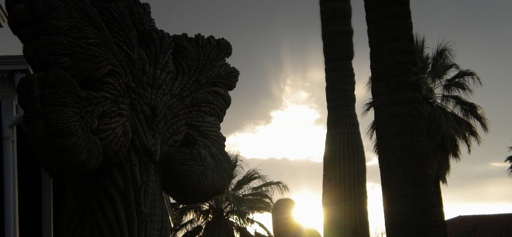 Tucson, AZ