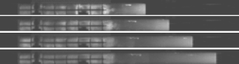 Experimental example of detonaiton