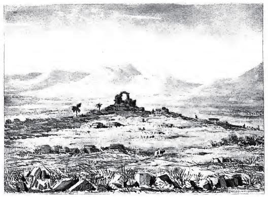Bulla Regia