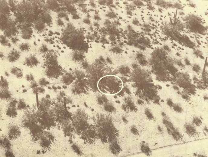 Aerial photo