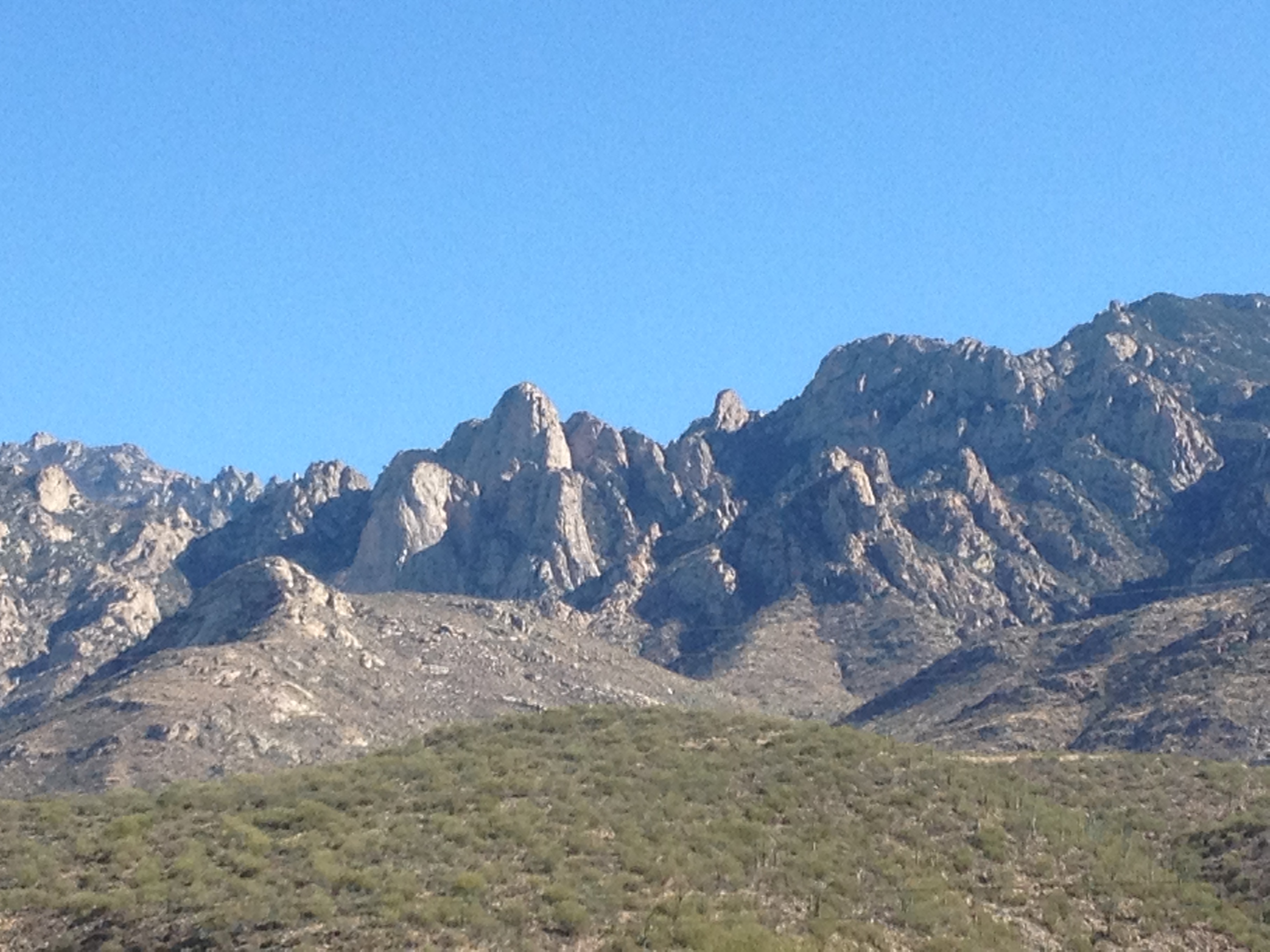 Catalinas