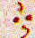 end