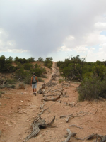Canyonlands-013.jpg