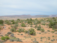 TheArchesC-009.jpg