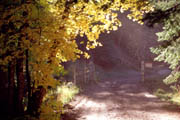 Mt. Lemmon