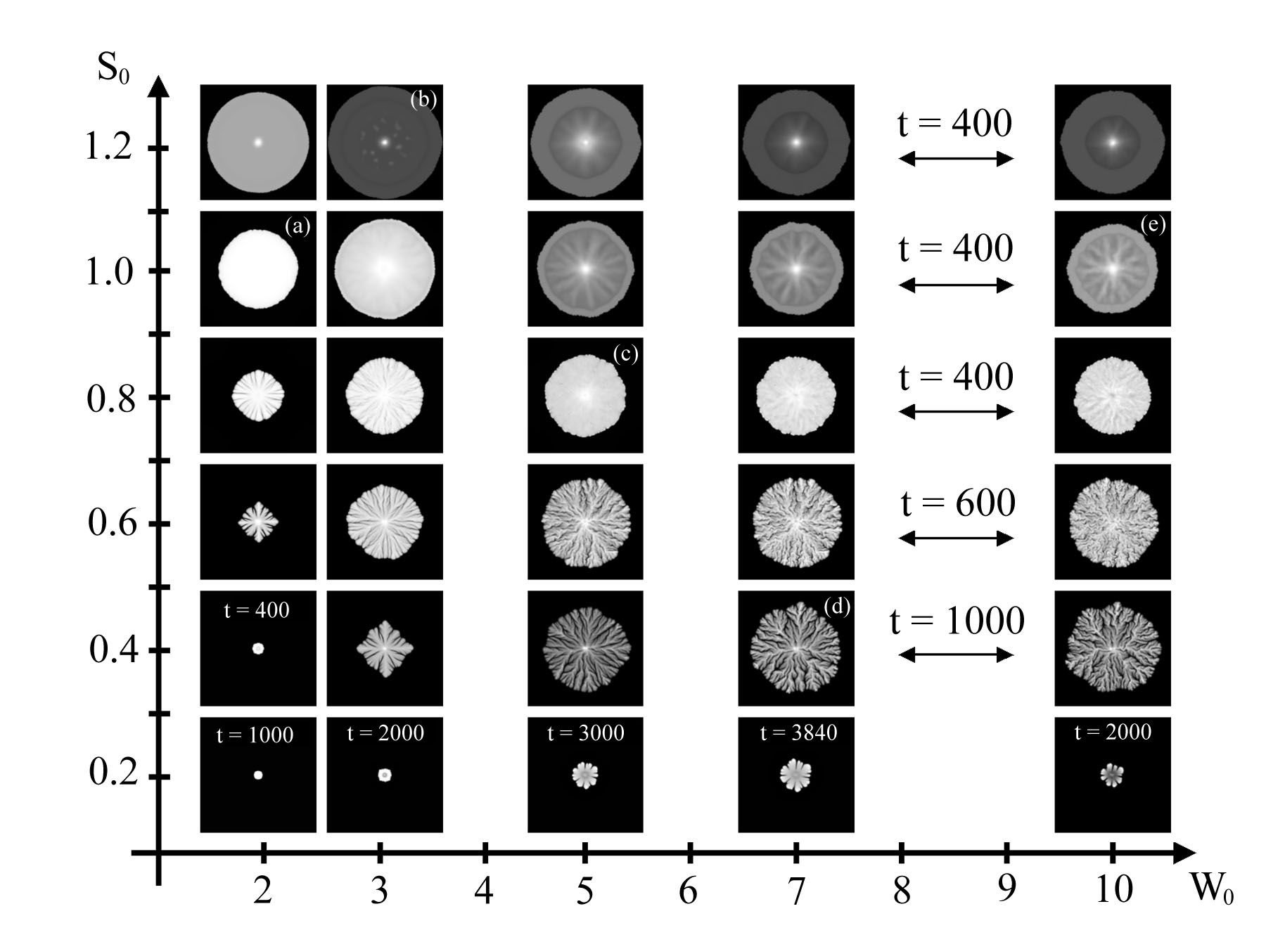 Numerical Phase Diagram