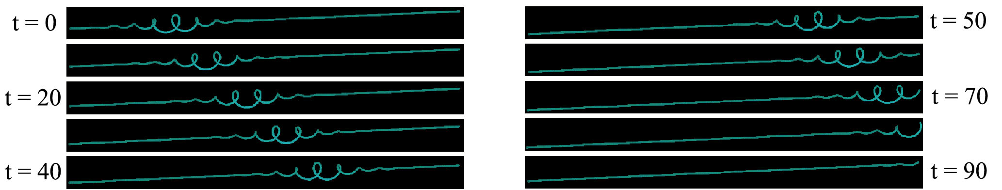Numerical Simulation