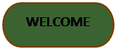 Flowchart: Terminator: WELCOME
