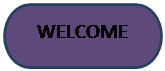 Flowchart: Terminator: WELCOME
