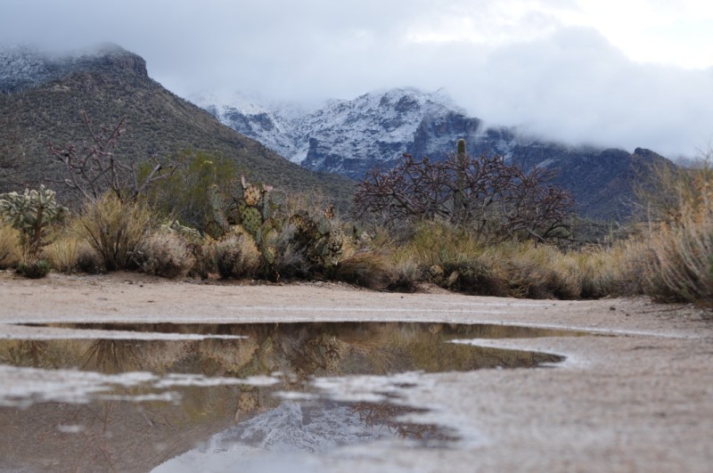 Snow in Bear Canyon