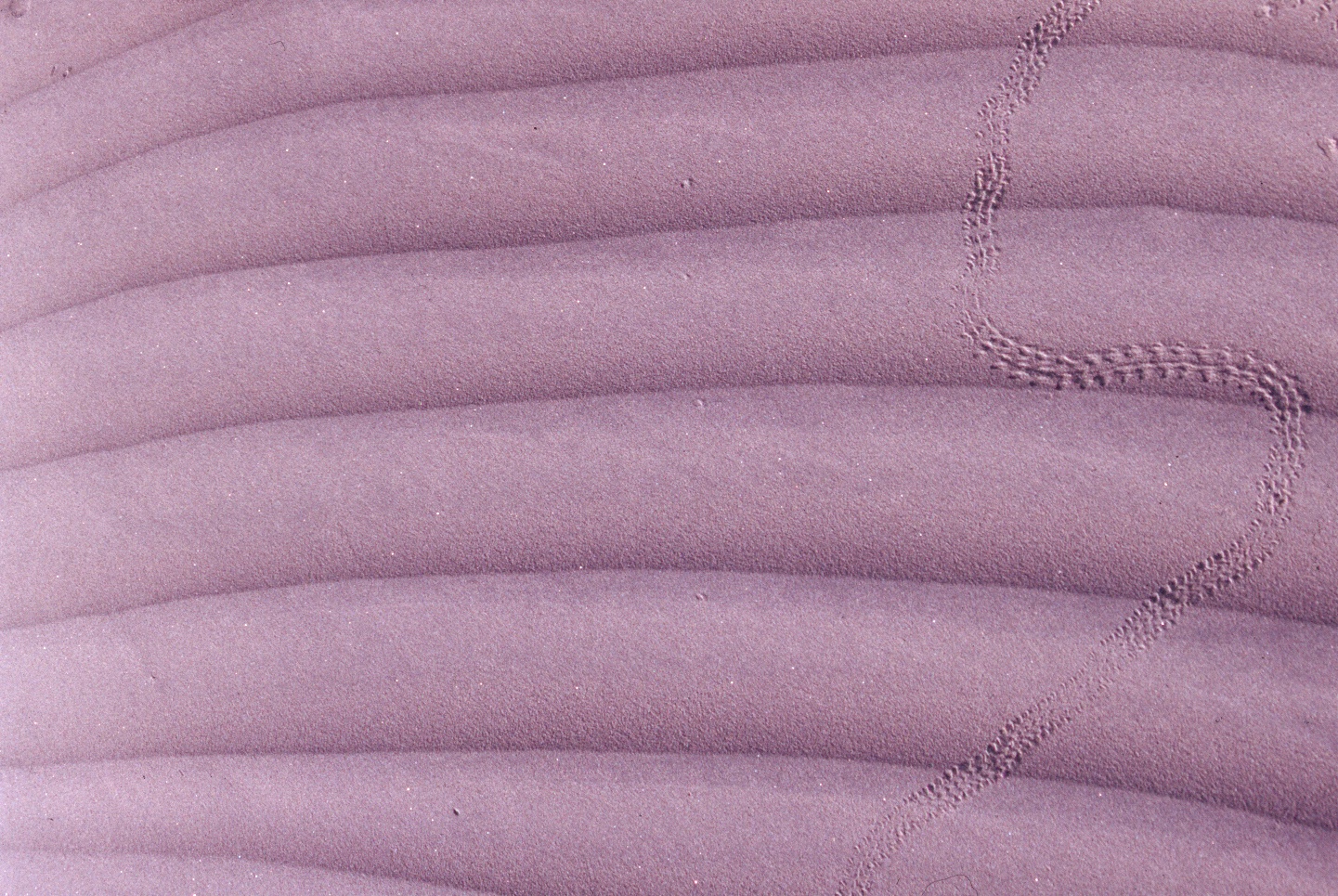Patterns in sand
