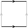 Torus Pattern