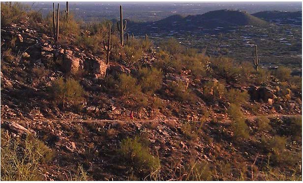 Tucson